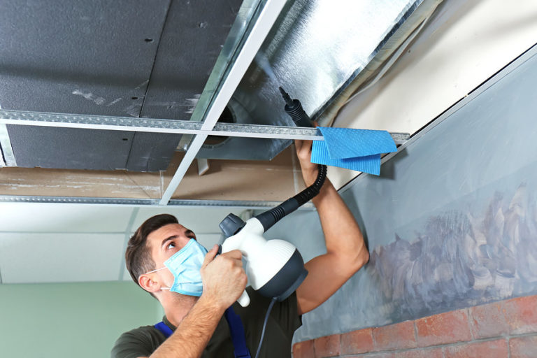 Choosing A Mold Removal Service